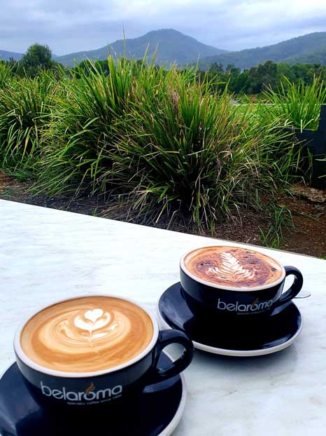 Come up and try our beautiful Julius coffee blend from Seven miles, and enjoy the amazing view!